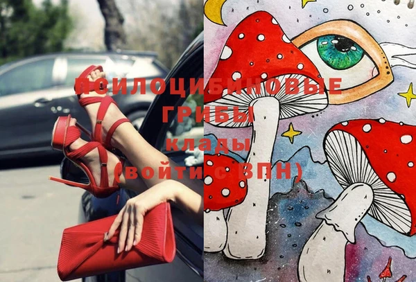 метадон Алексин