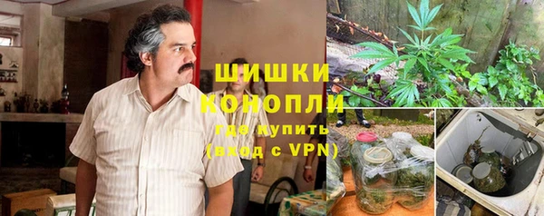 а пвп мука Алзамай