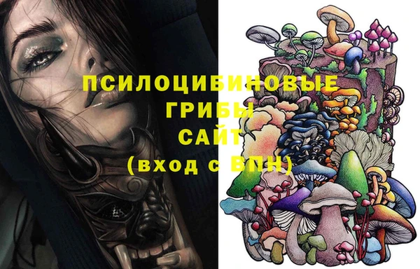а пвп мука Алзамай