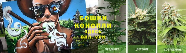 а пвп мука Алзамай