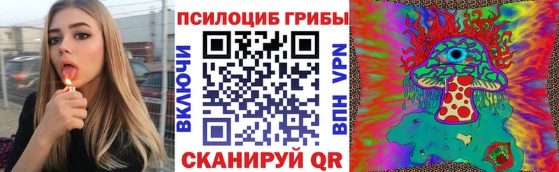 Псилоцибиновые грибы мухоморы  где купить   Новая Ладога 