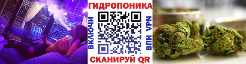 купить наркотики цена  Новая Ладога  Марихуана ГИДРОПОН 